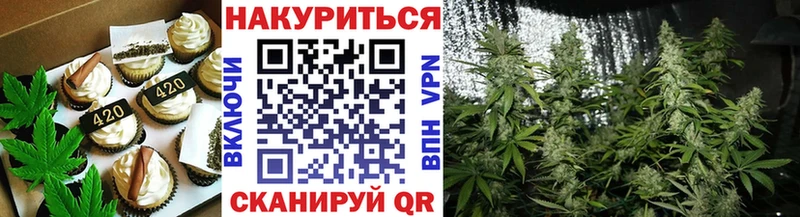 где купить наркоту  Георгиевск  Еда ТГК конопля 