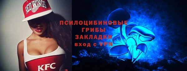 гидропоника Медногорск