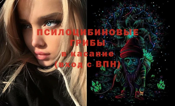 apvp Медвежьегорск