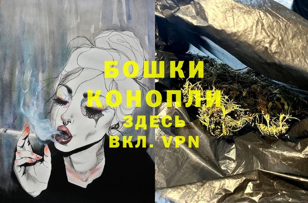 стаф Мегион