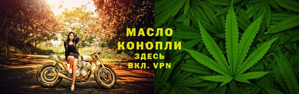 стаф Мегион