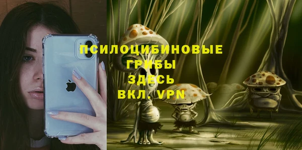 apvp Медвежьегорск
