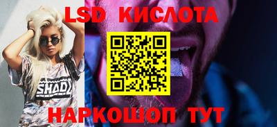 стафф Донецк