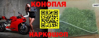 стафф Донецк