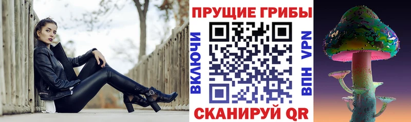 закладки  Георгиевск  нарко площадка Telegram  Галлюциногенные грибы мухоморы 