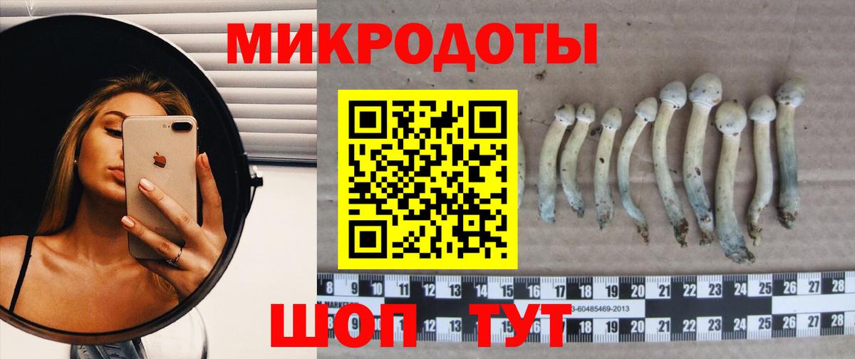 Галлюциногенные грибы Magic Shrooms  Вход с VPN  Георгиевск 