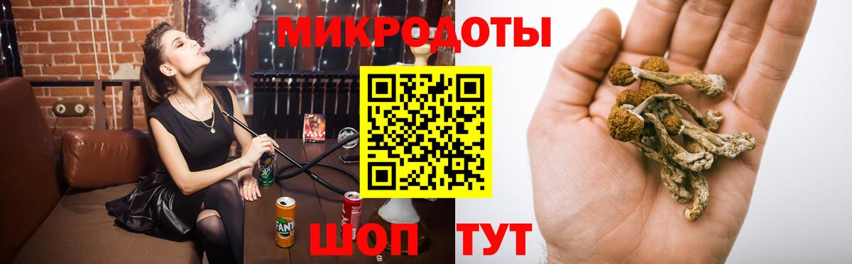 Псилоцибиновые грибы Psilocybe Георгиевск